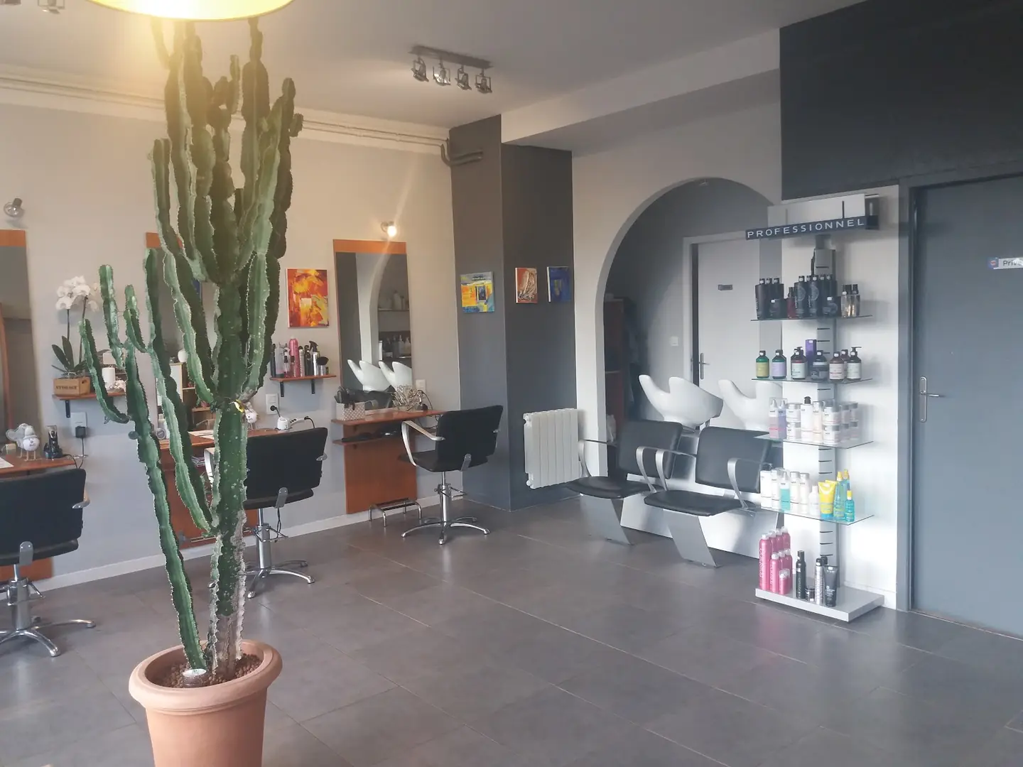 L'intérieur du salon Peigne Ciseaux : les fauteuils noirs, les miroirs, les bacs et un grand cactus